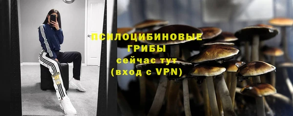 трава Алзамай