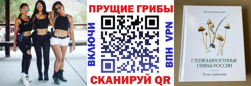Псилоцибиновые грибы Psilocybe  ОМГ ОМГ зеркало  Новая Ляля 